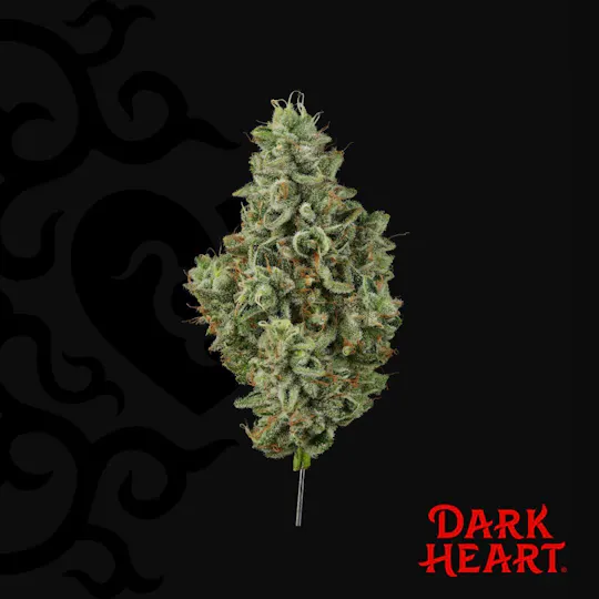 Dark Heart - Grandmas House Whole Flower - 1