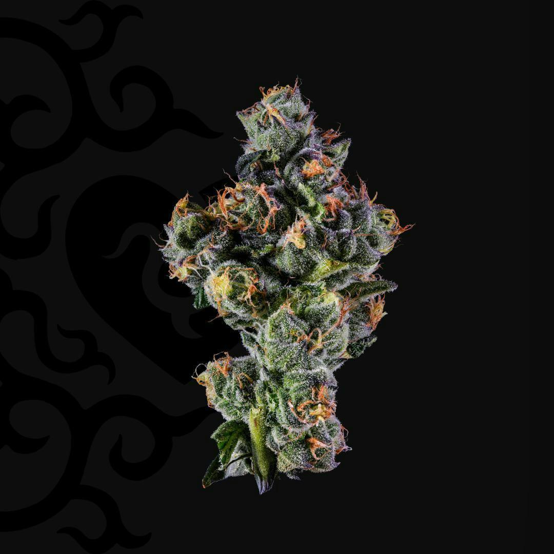 Dark Heart - Sugar Kushions Whole Flower - 1