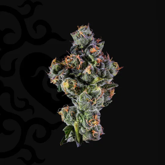 Dark Heart - Sugar Kushions Whole Flower - 1