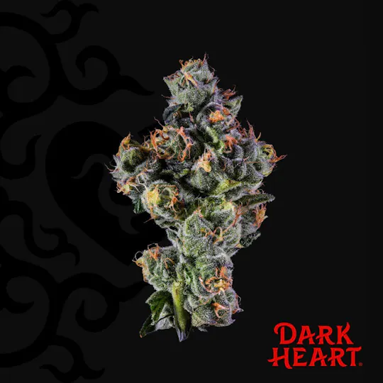 Dark Heart - Sugar Kushions Whole Flower - 1