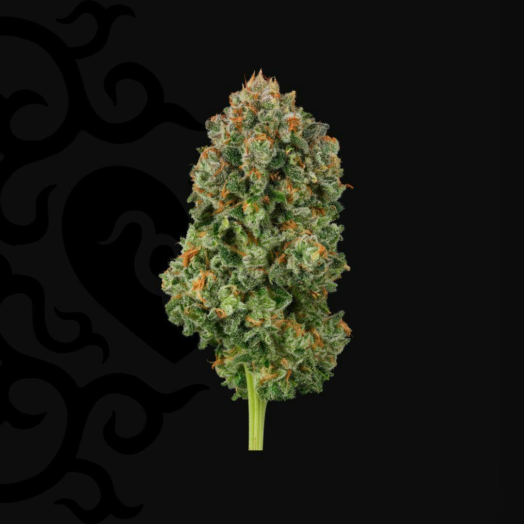 Dark Heart - Blackened Blue Whole Flower - 1