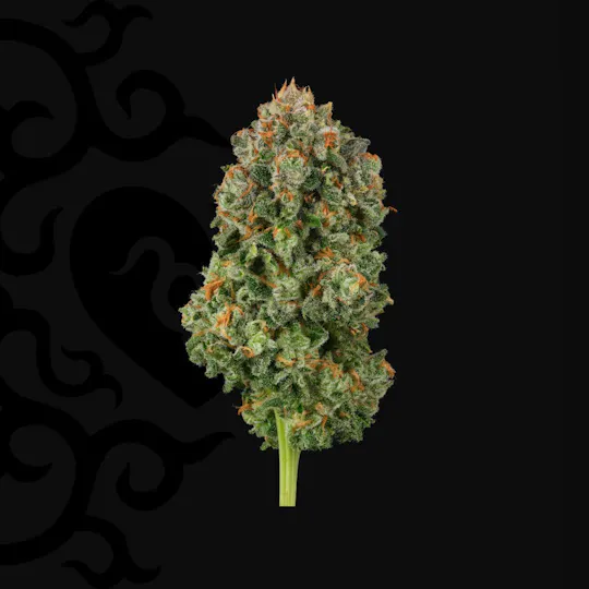 Dark Heart - Blackened Blue Whole Flower - 1