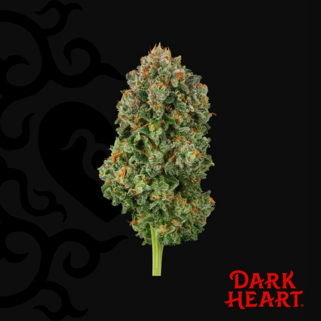 Dark Heart - Blackened Blue Whole Flower - 1