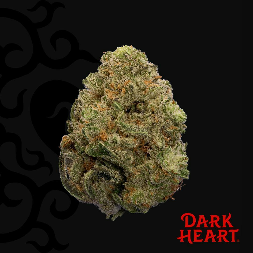 Dark Heart - Titan Express Whole Flower - 1