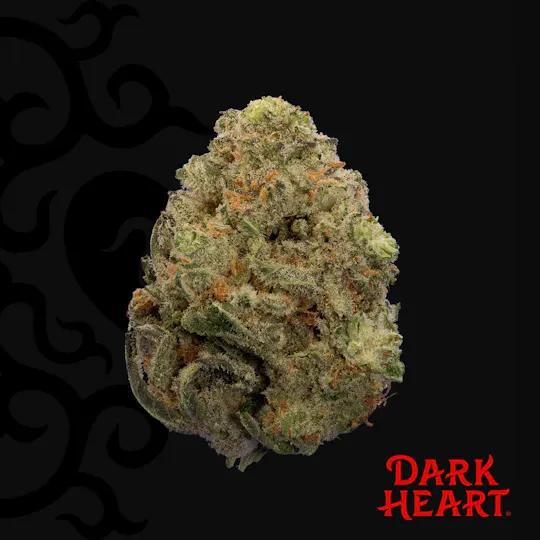 Dark Heart - Titan Express Whole Flower - 1