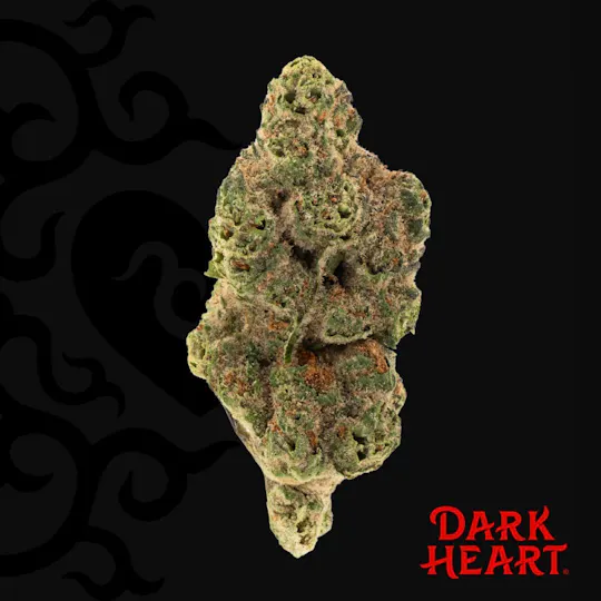 Dark Heart - Moonbeam Gelato Whole Flower - 1