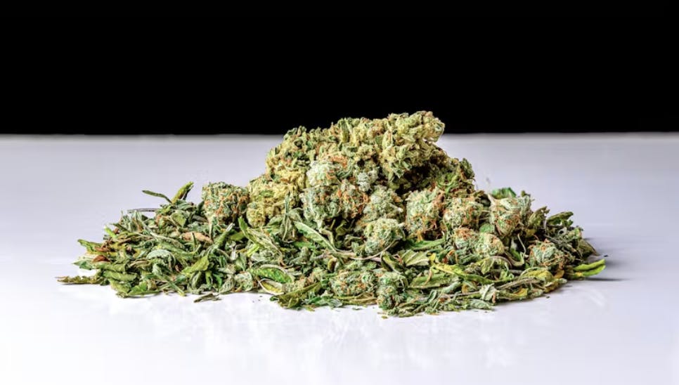 GD CANNABIS PROCESSING - GD Cannabis | Slapz | Ground | 28g - 1