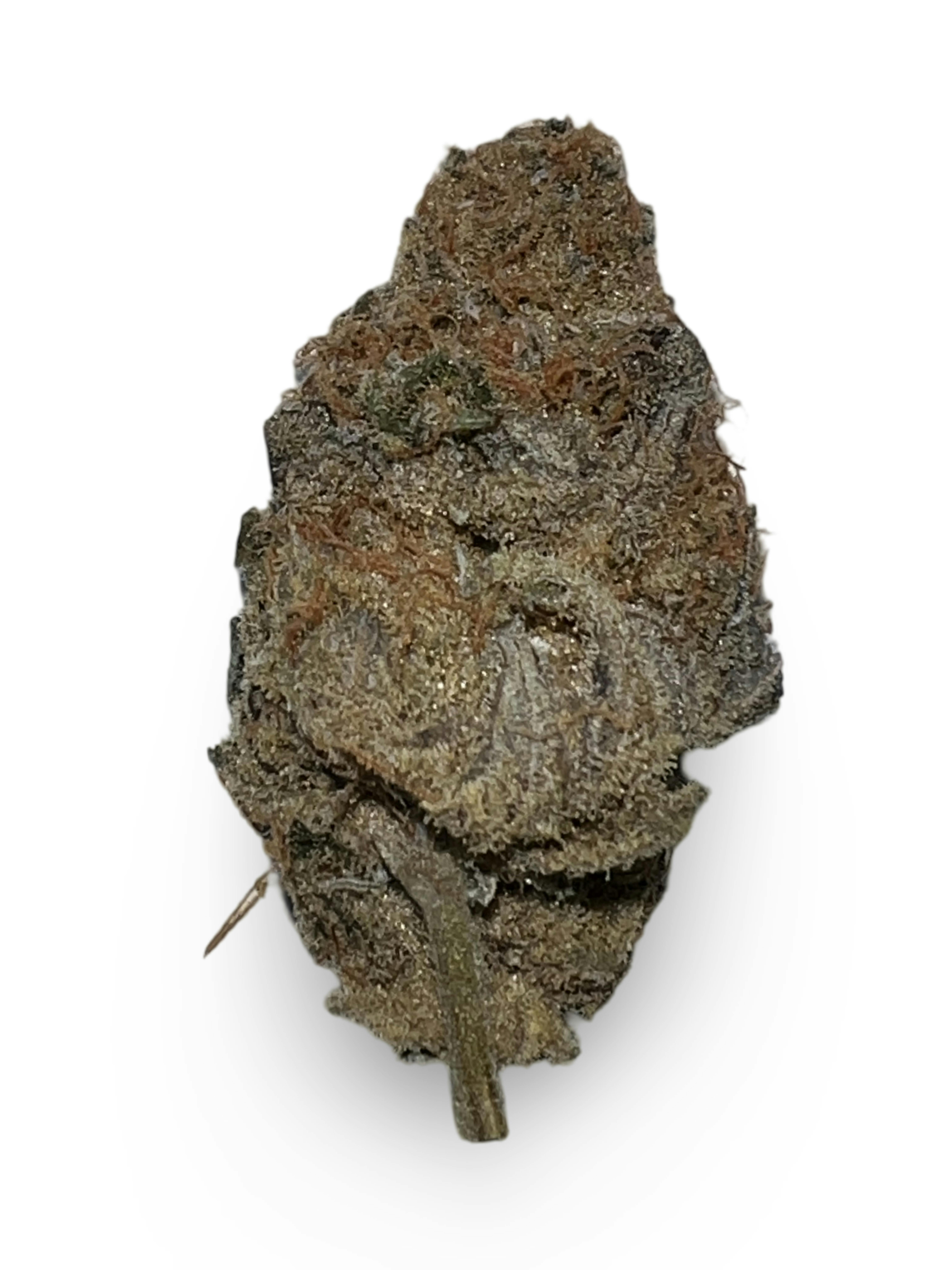 Indico - Cherry Piff - Indico - 1