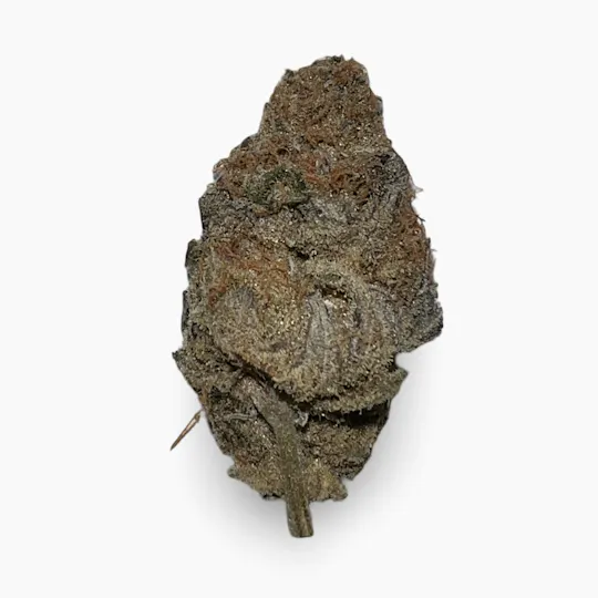 Indico - Cherry Piff - Indico - 1