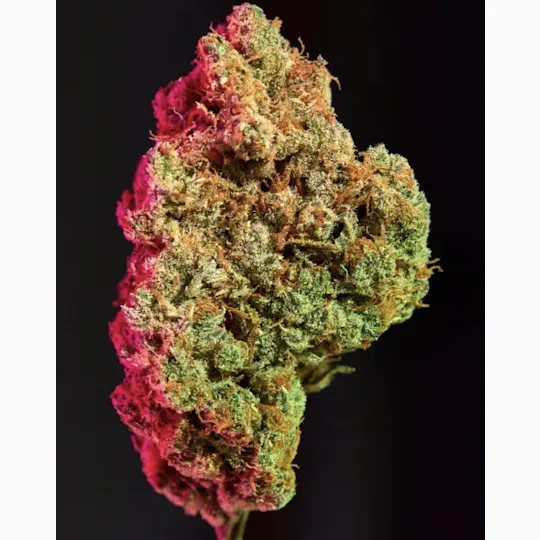 Co-op Collabs - CO-OP x XP Agronomics | Pink Runtz | Big Buds | 1/4lb - 1