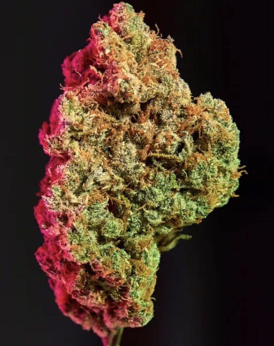 Co-op Collabs - CO-OP x Floating Goat | Gelato #41 | Big Buds | 1/4lb - 1