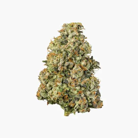 Connected Cannabis Co. - Gascotti | Indoor Flower | 10g - 1