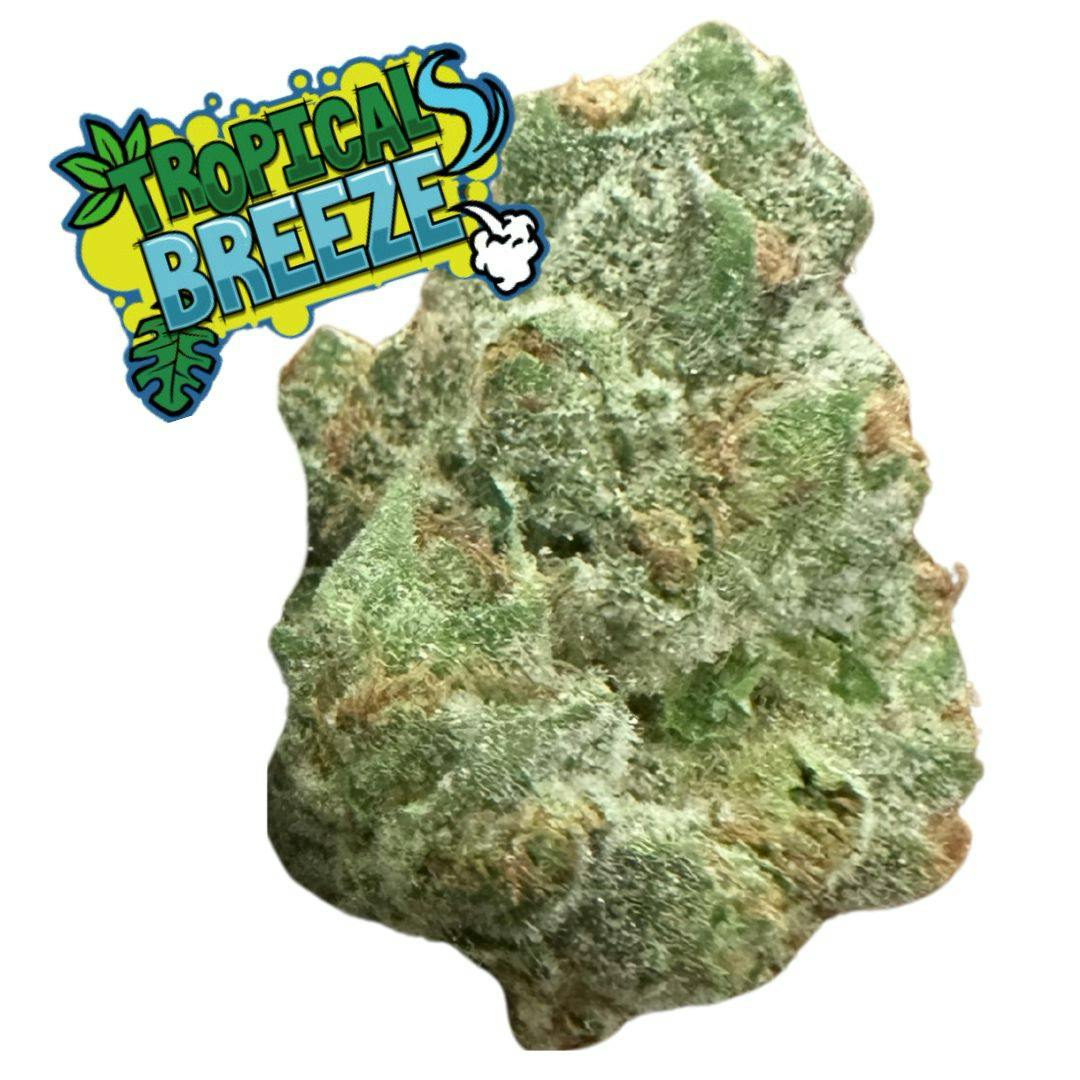 Black Rain - Black Rain | Tropical Breeze | Big Buds | 3.5g - 1
