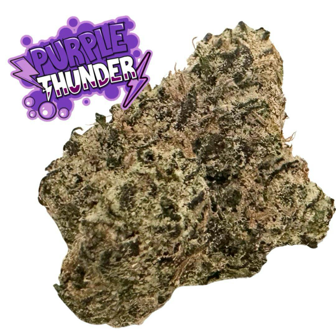 Black Rain - Black Rain | Purple Thunder | Flower - 1