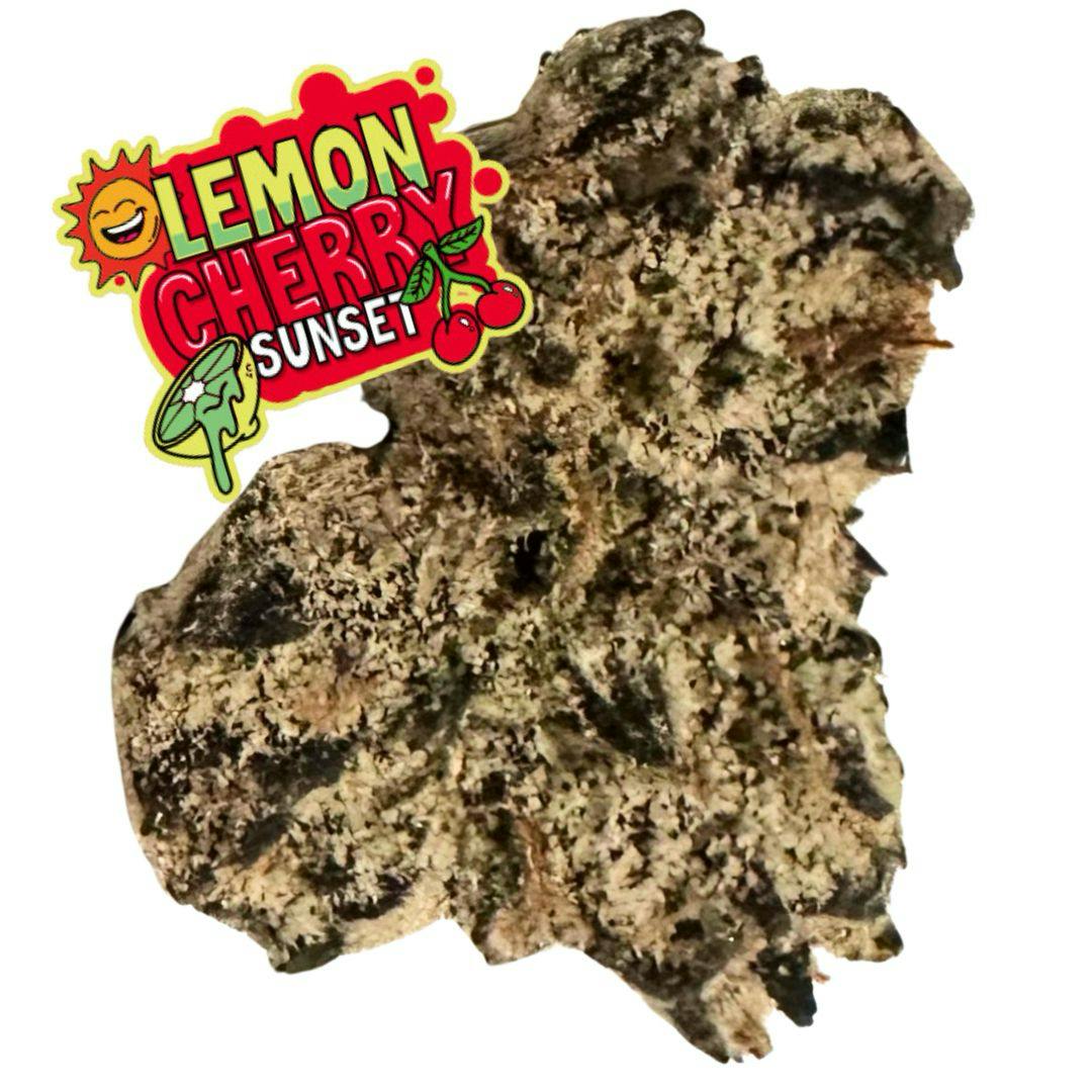 Black Rain - Black Rain | Lemon Cherry Sunset | Flower - 1