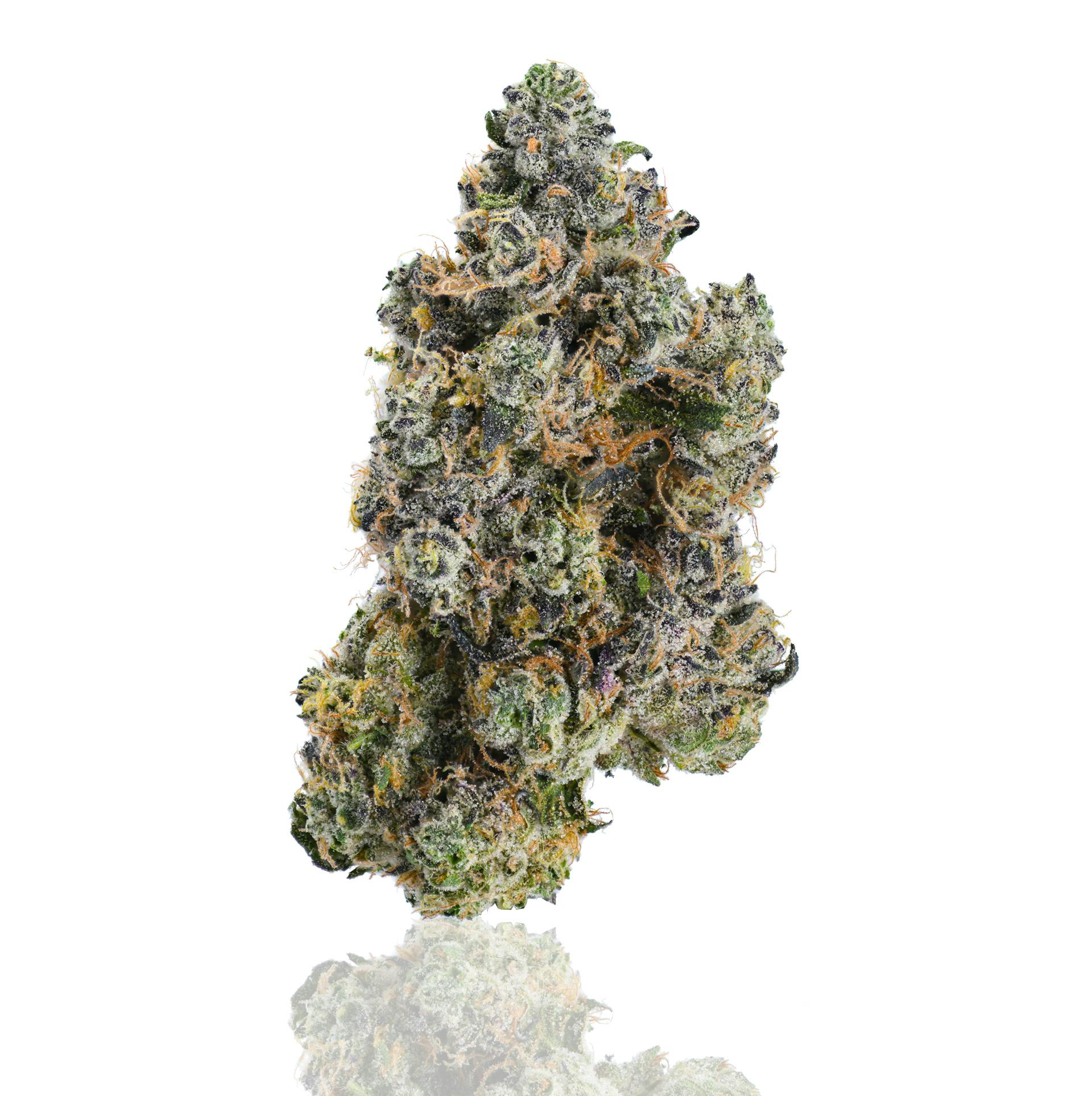 CAM - CAM | Hashburger | Big Buds | 14g - 1