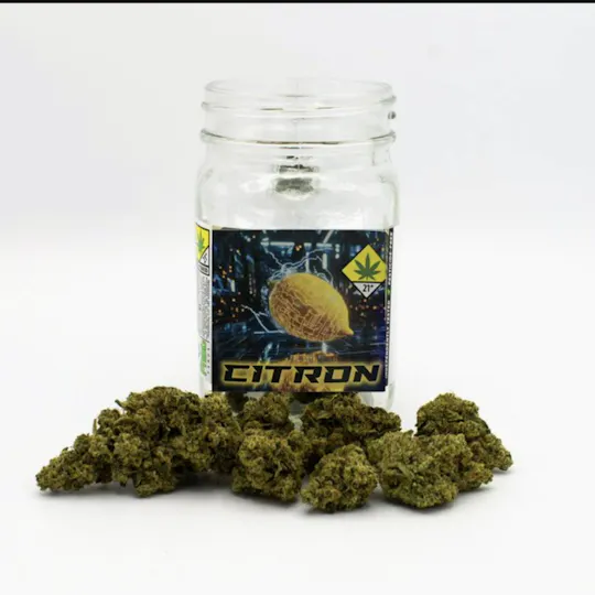 Phat Panda - Phat Panda | Citron | Big Buds | 14g - 1