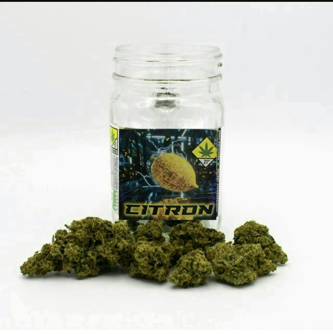 Phat Panda - Citron | Big Buds | 14g - 1