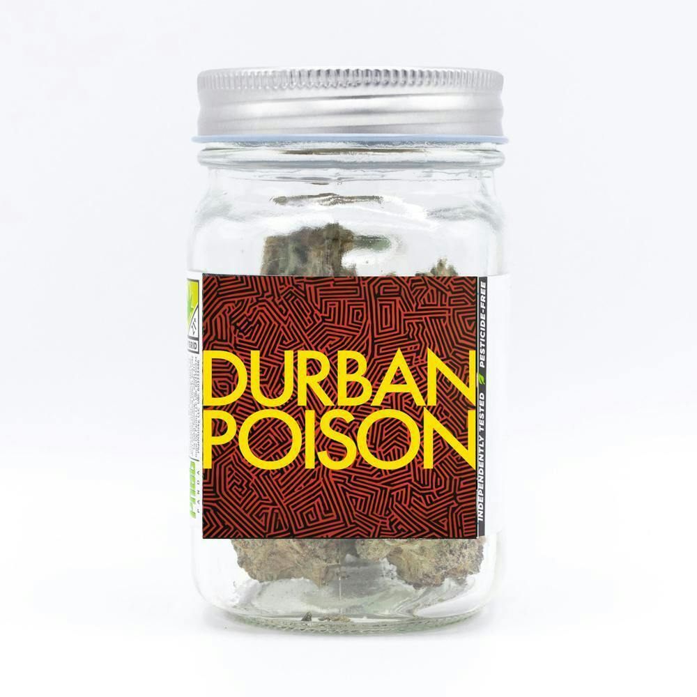 Phat Panda - Phat Panda | Durban Poison | Big Buds | 3.5g - 1