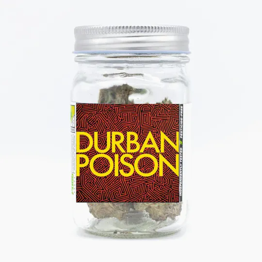 Phat Panda - Phat Panda | Durban Poison | Big Buds | 3.5g - 1