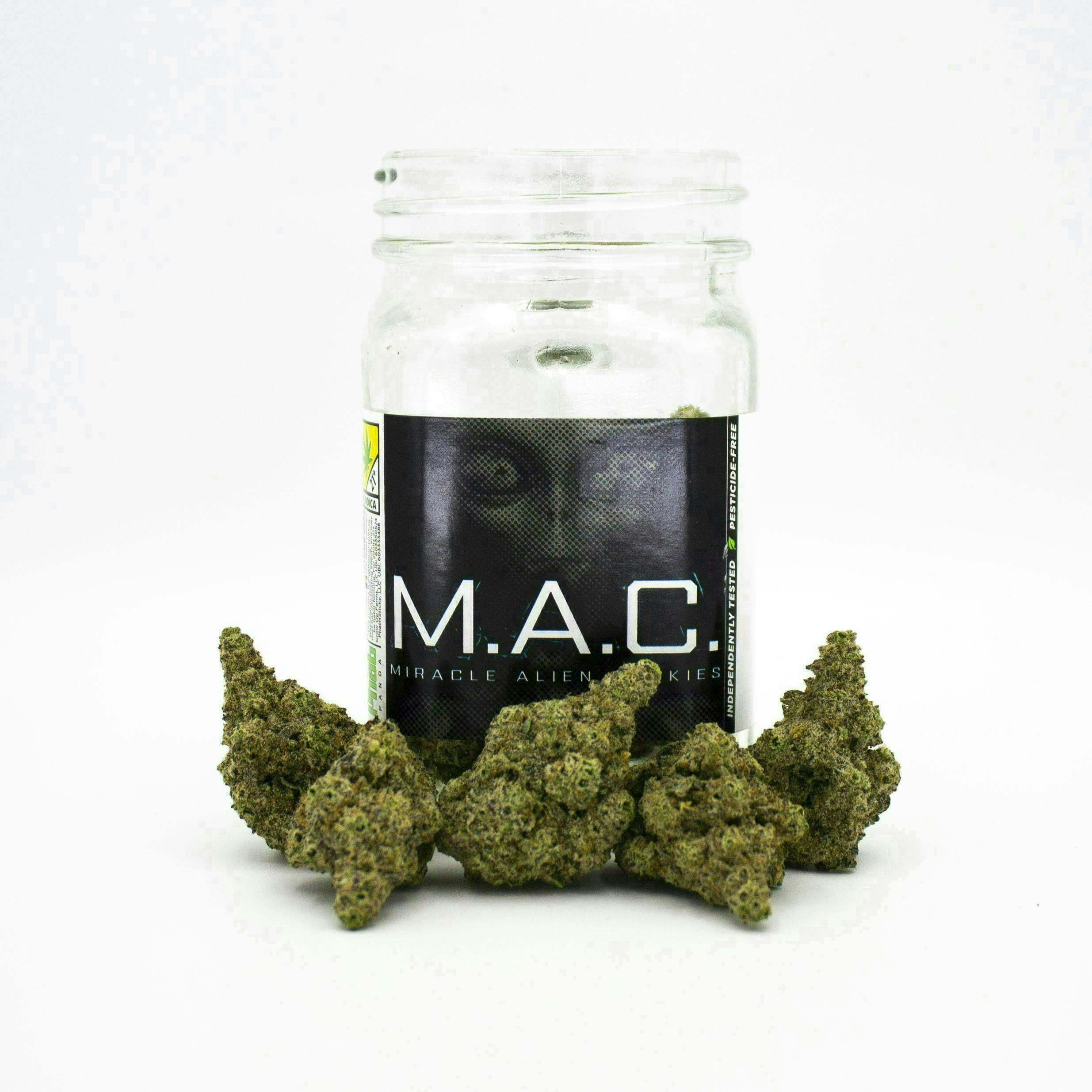 Phat Panda - Platinum | MAC | Big Buds | 3.5g - 1