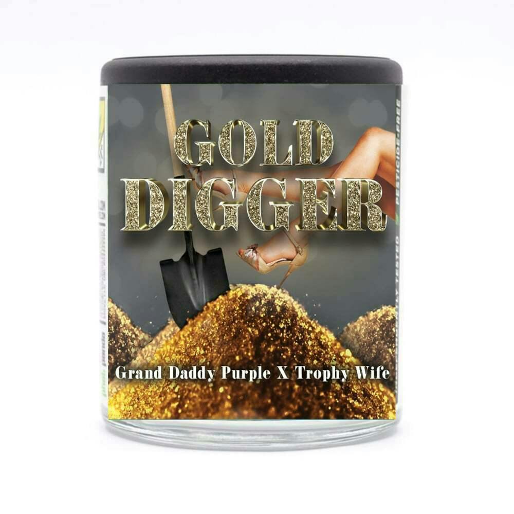 Phat Panda - Phat Panda | Gold Digger | Big Buds | 14g - 1