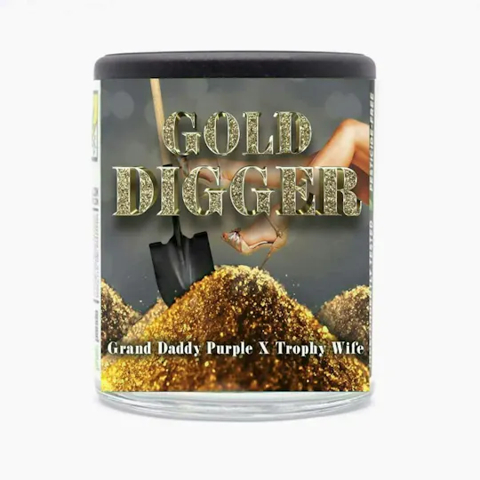 Phat Panda - Gold Digger | Big Buds | 14g - 1