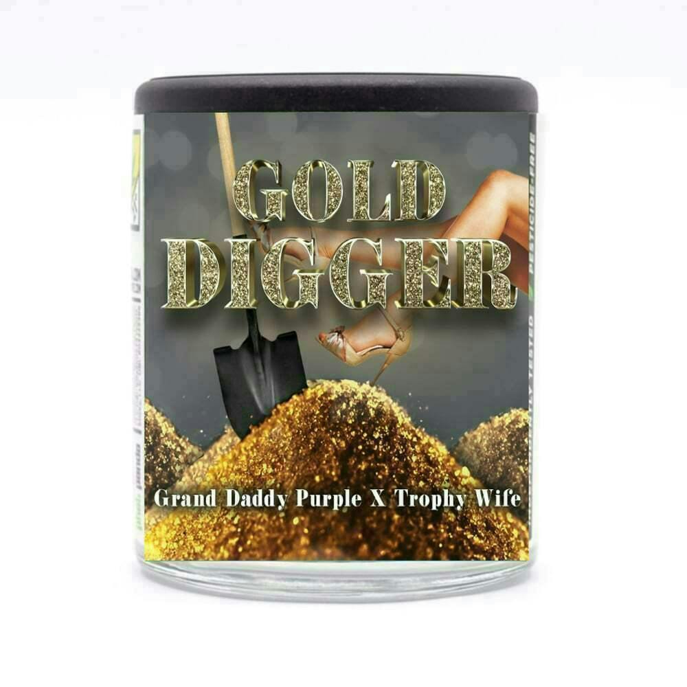 Phat Panda - Gold Digger | Big Buds | 28g - 1