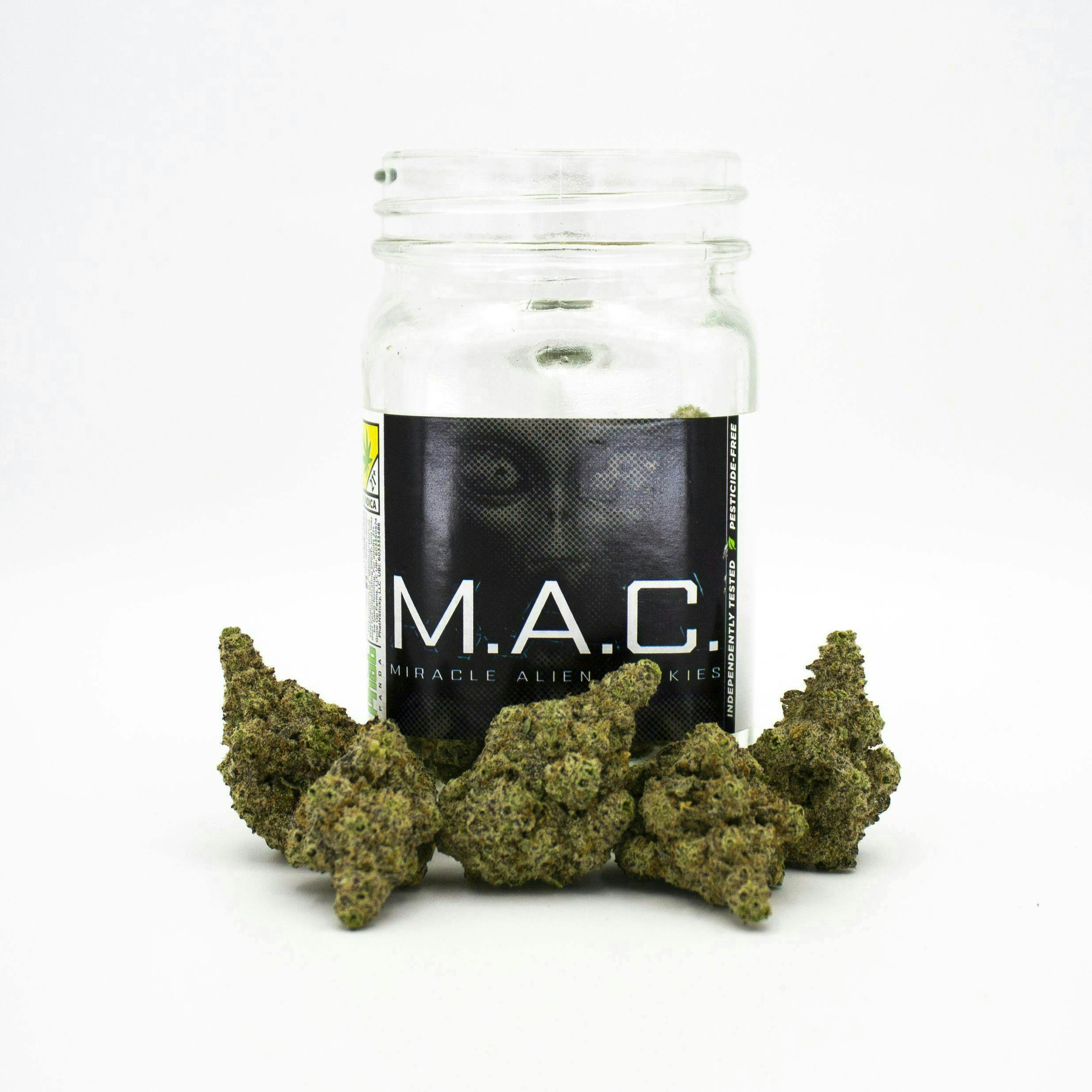 Phat Panda - Phat Panda Platinum | MAC | Big Buds | 7g - 1