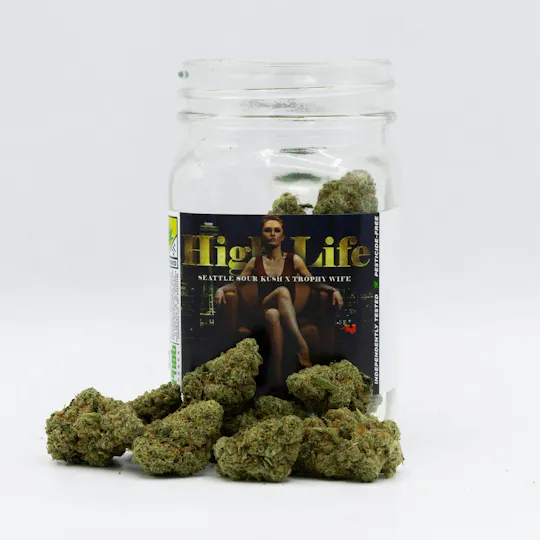 Phat Panda - Phat Panda Platinum | High Life | Big Buds | 7g - 1