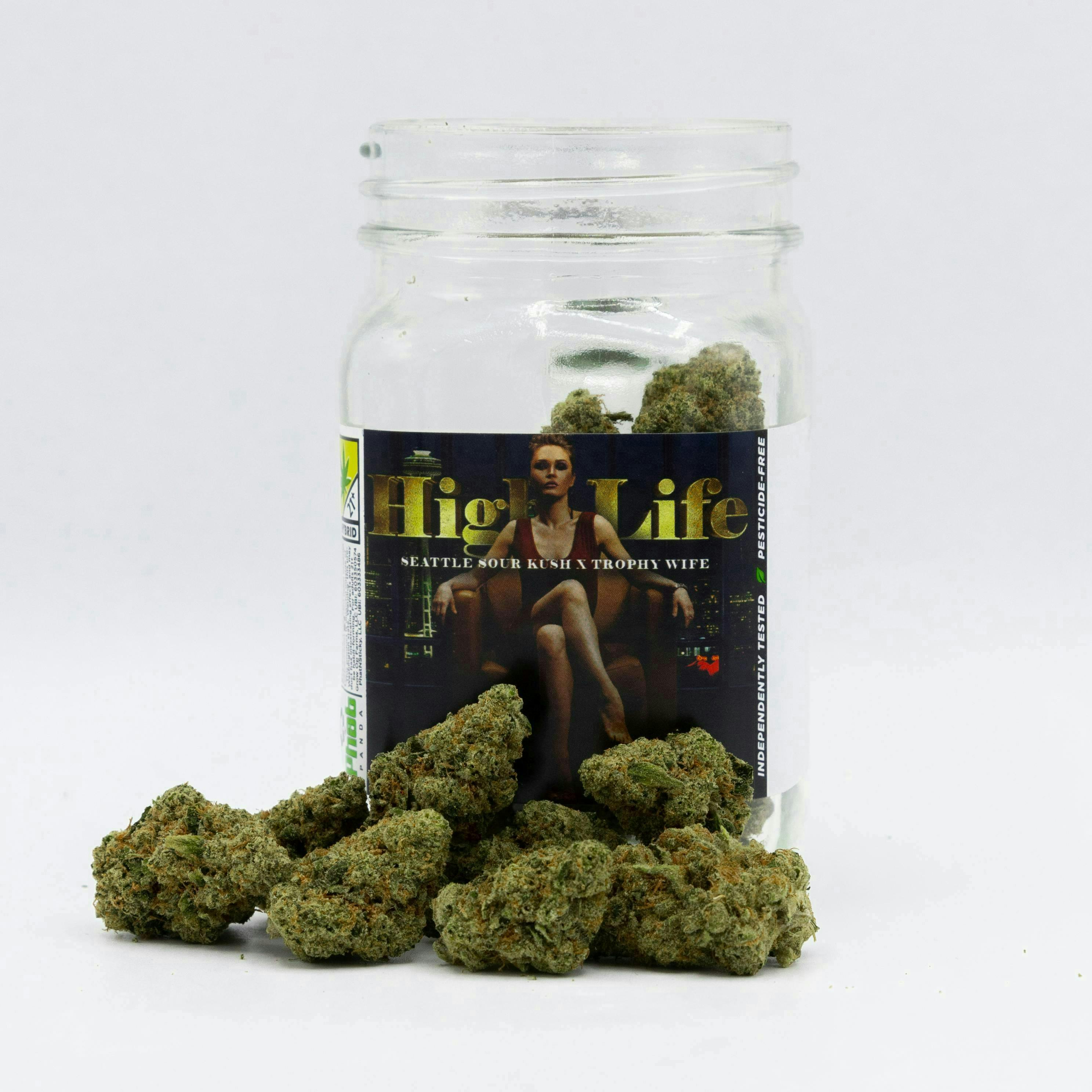 Phat Panda - Phat Panda Platinum | High Life | Big Buds | 3.5g - 1