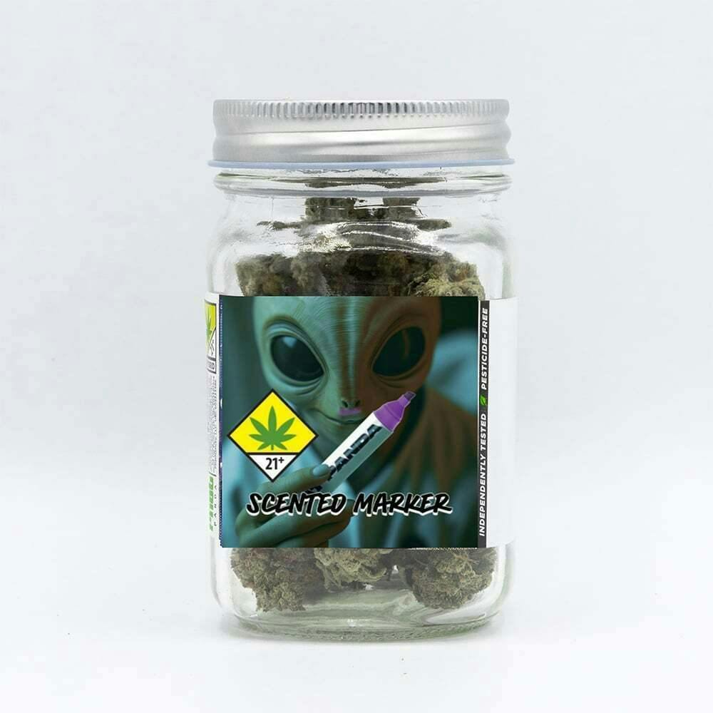 Phat Panda - Phat Panda | Scented Marker | Big Buds | 3.5g - 1