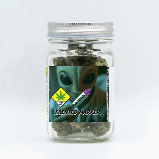 Phat Panda - Scented Marker | Big Buds | 3.5g - 1