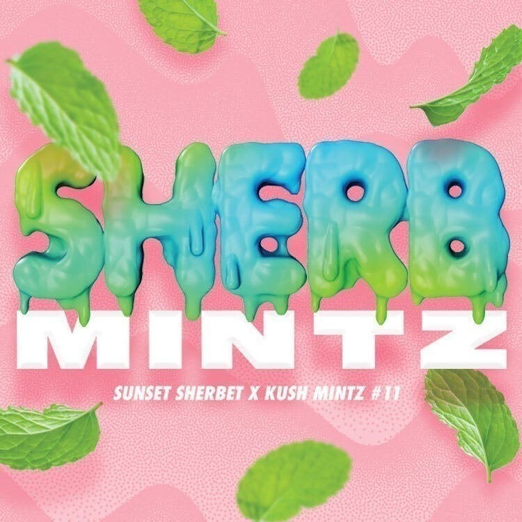 Phat Panda - Sherb Mintz | Joint | 1g - 1