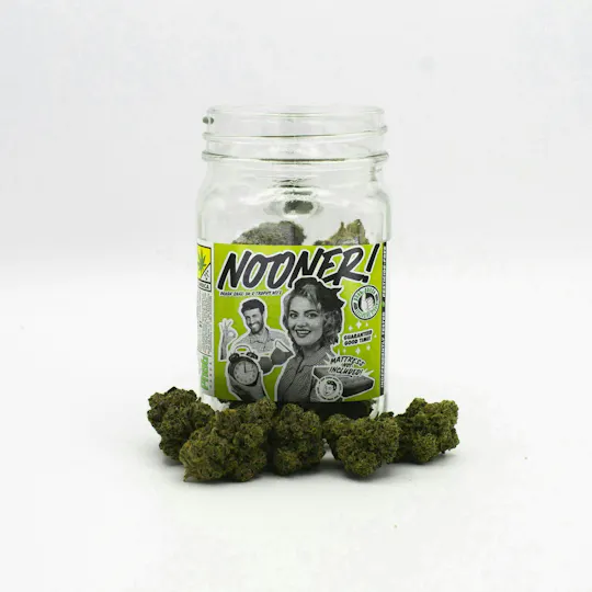 Phat Panda - Nooner | Big Buds | 7g - 1