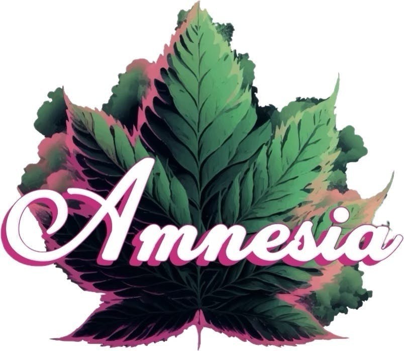 Amnesia MI - Amnesia MI | Tropicana Cookies x Tangie Banana | Liquid Diamond AIO | 2g - 1