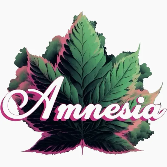 Amnesia MI - Amnesia MI | OG Kush x Rainbow Belts | Liquid Diamond AIO | 2g - 1