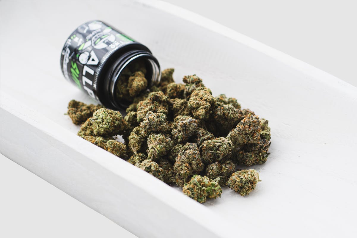 All Pro Farms - All Pro Farms | Jelly Rancher | Big Buds | 3.5g - 1