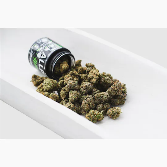 All Pro Farms - All Pro Farms | Jelly Rancher | Big Buds | 3.5g - 1