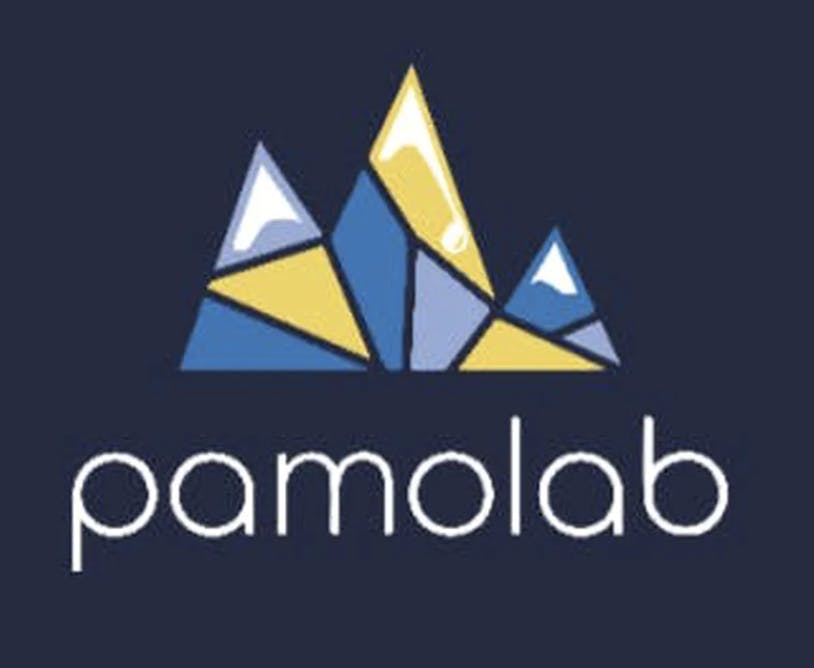 Pamolab - Pamolab | Lemon Bang Bang | Concentrate | 1g - 1