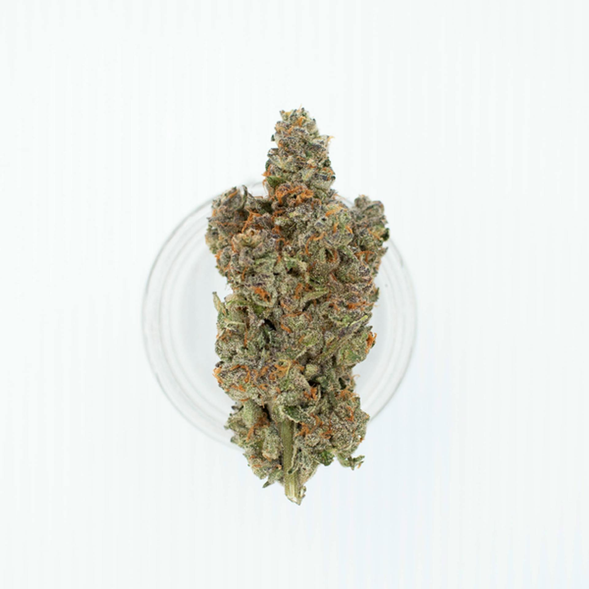 Pamolab - Pamolab | 69 Lives | Big Buds | 3.5g - 1