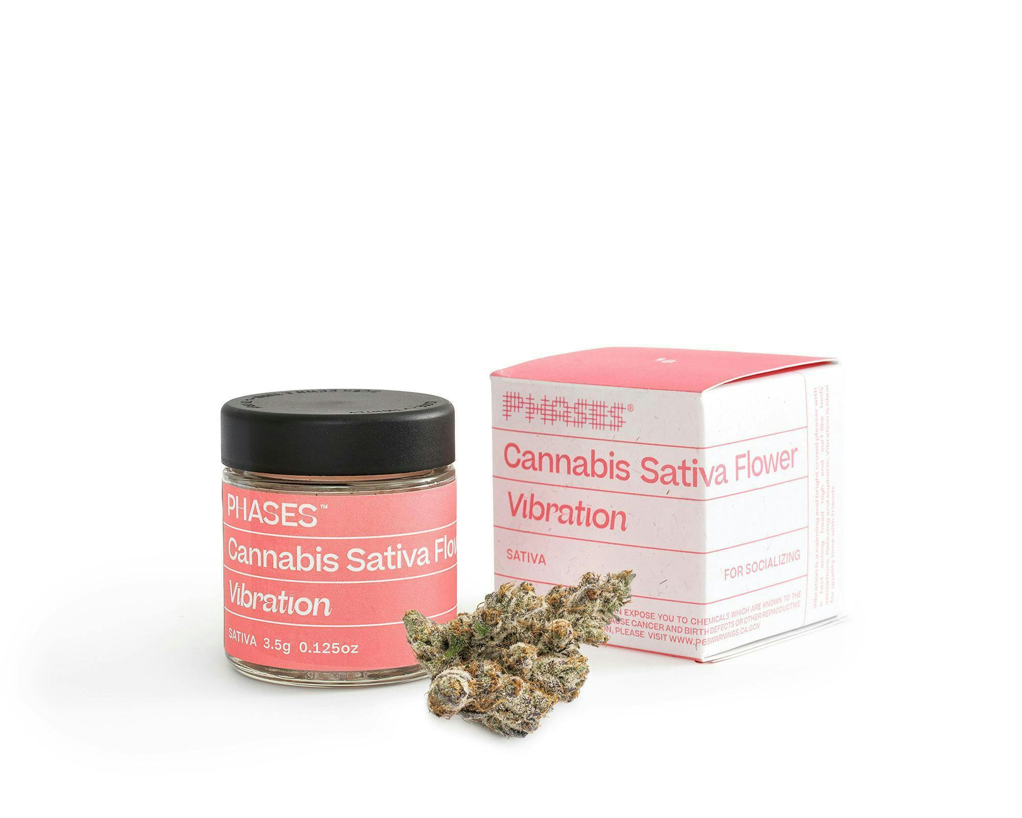 PHASES - Phases | Vibration | Blueberry Parfait | Big Buds | 7g - 1