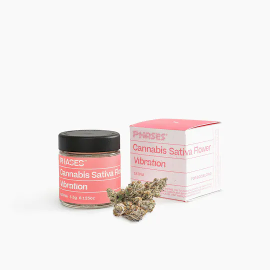 PHASES - Phases | Vibration | Blueberry Parfait | Big Buds | 7g - 1