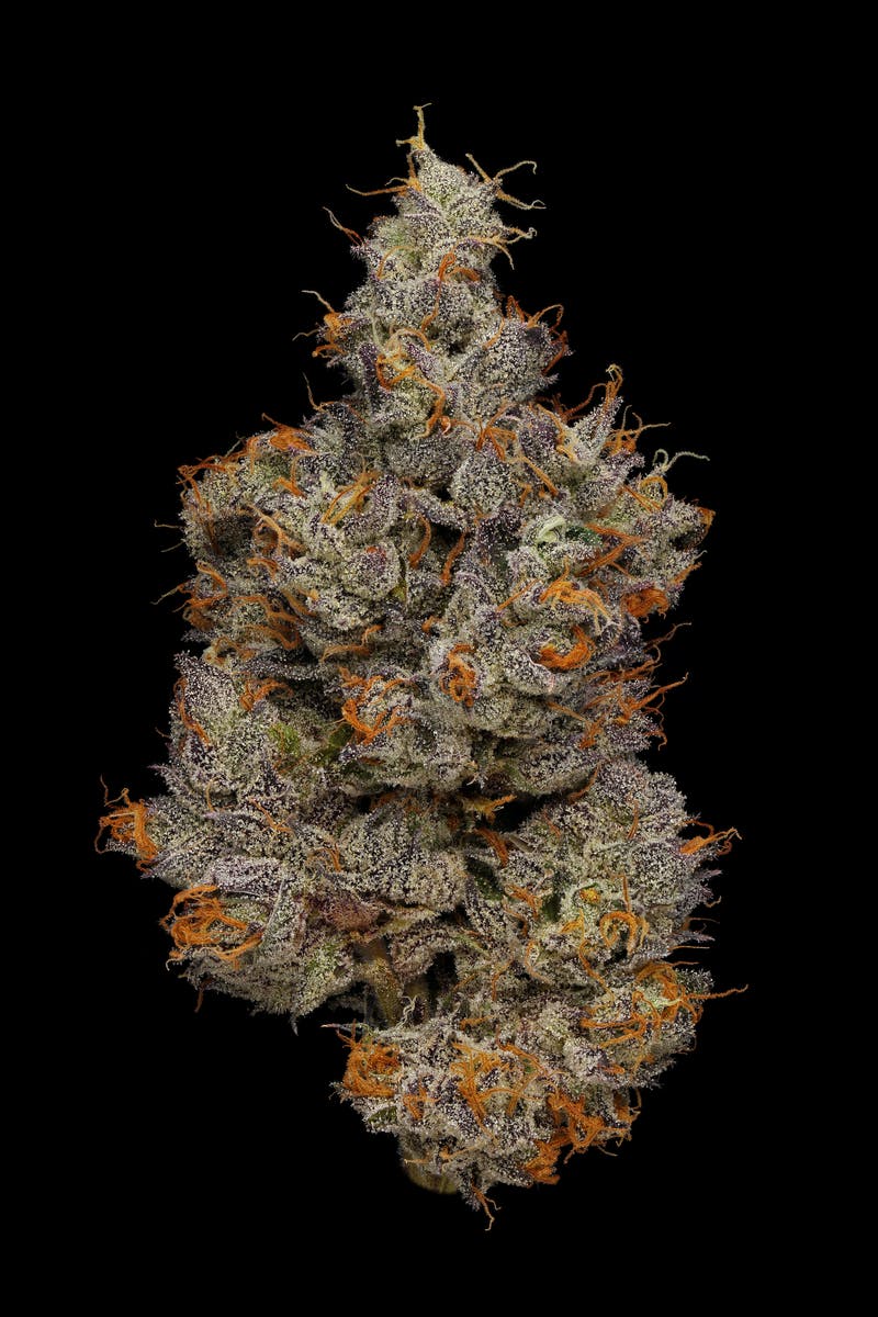 PHASES - Phases | Retrograde | Frosted Fade | Big Buds | 3.5g - 1