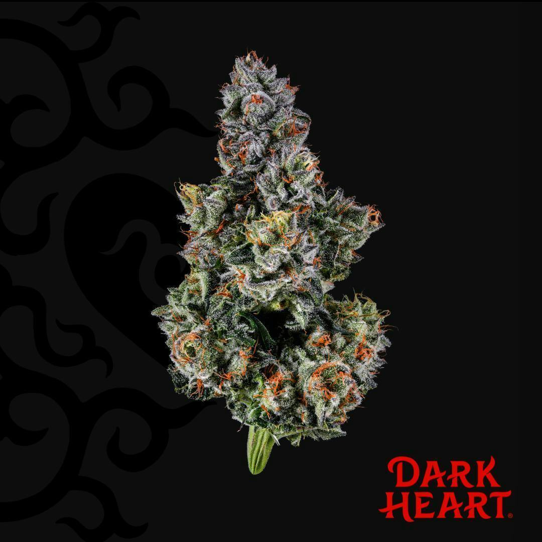 Dark Heart - Triple Stack Whole Flower - 1