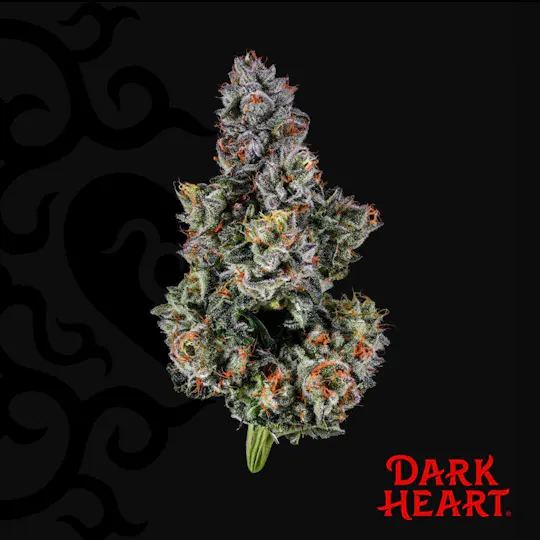 Dark Heart - Trip Stack Whole Flower (PA) - 1