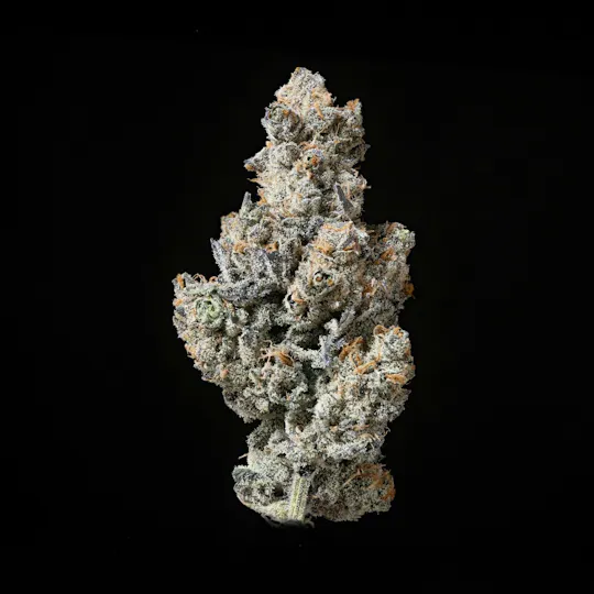 Sticky Status - Sticky Status | Permanent Pie | Big Buds | 3.5g - 1