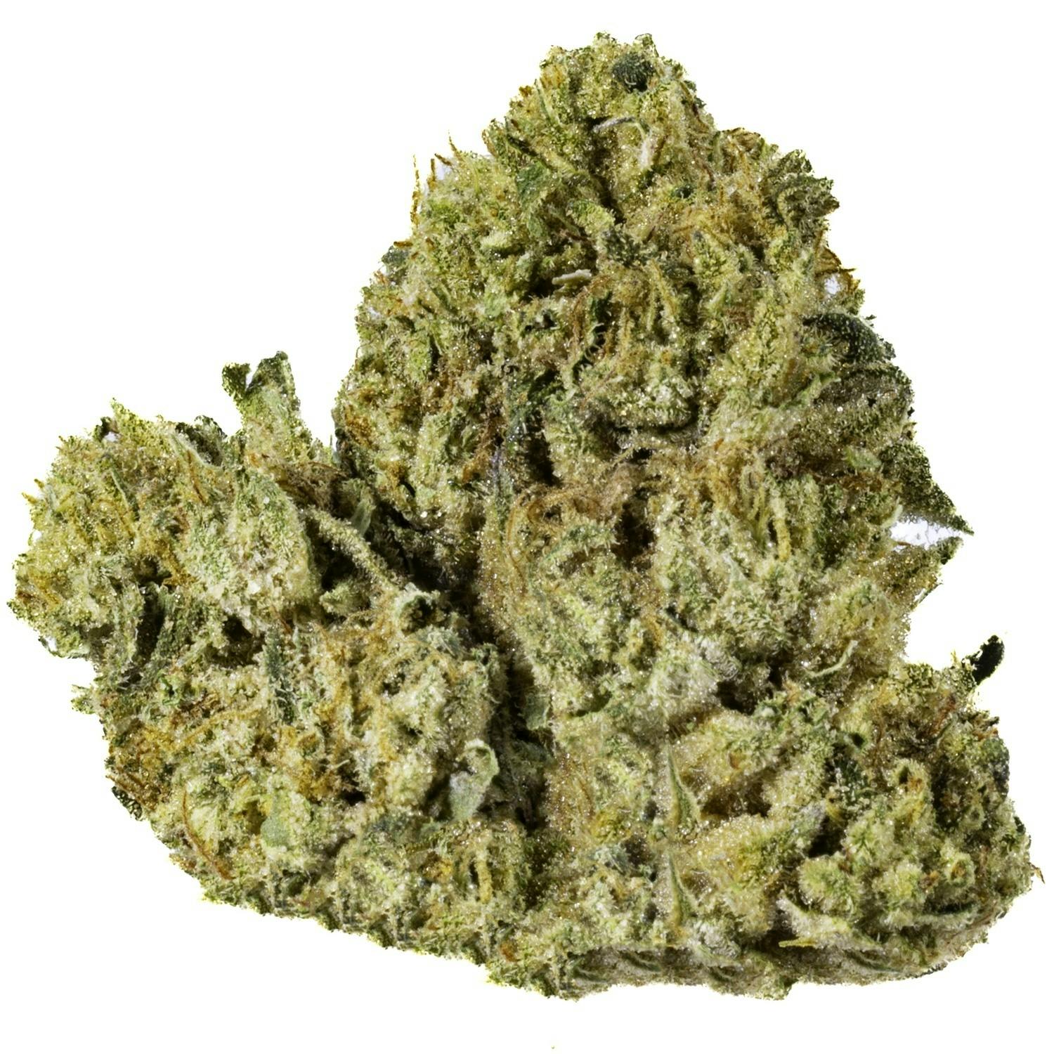 West Coast Cure - Creme Brulee - 3.5G Premium Flower - 1