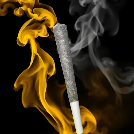 SAP XTRAX - SAP XTRAX | SAP Smokes | Citrus Spritzer | Joints | 1g each | 15pk - 1