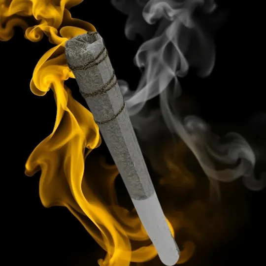 SAP XTRAX - SAP XTRAX | SAPS Bubble Hash | Super 8 | Infused Joint | 1g - 1